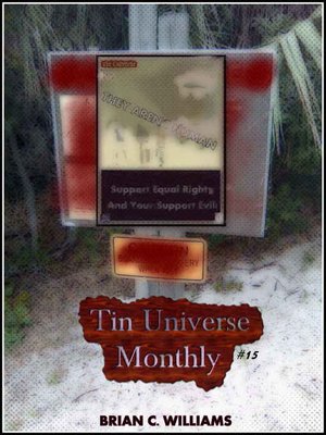 cover image of Tin Universe Monthly #15